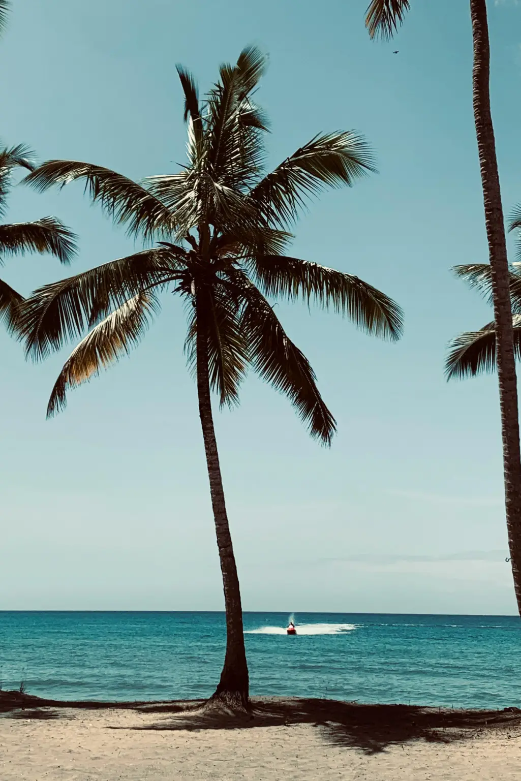 Praia com coqueiros e mar azul em Miami Beach